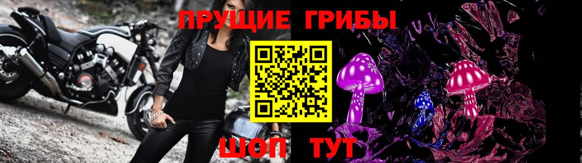 Киселёвск  Псилоцибиновые грибы Psilocybe  Вход с VPN 